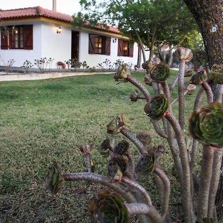 Quinta Das Buganvilias * أزيتاوْ